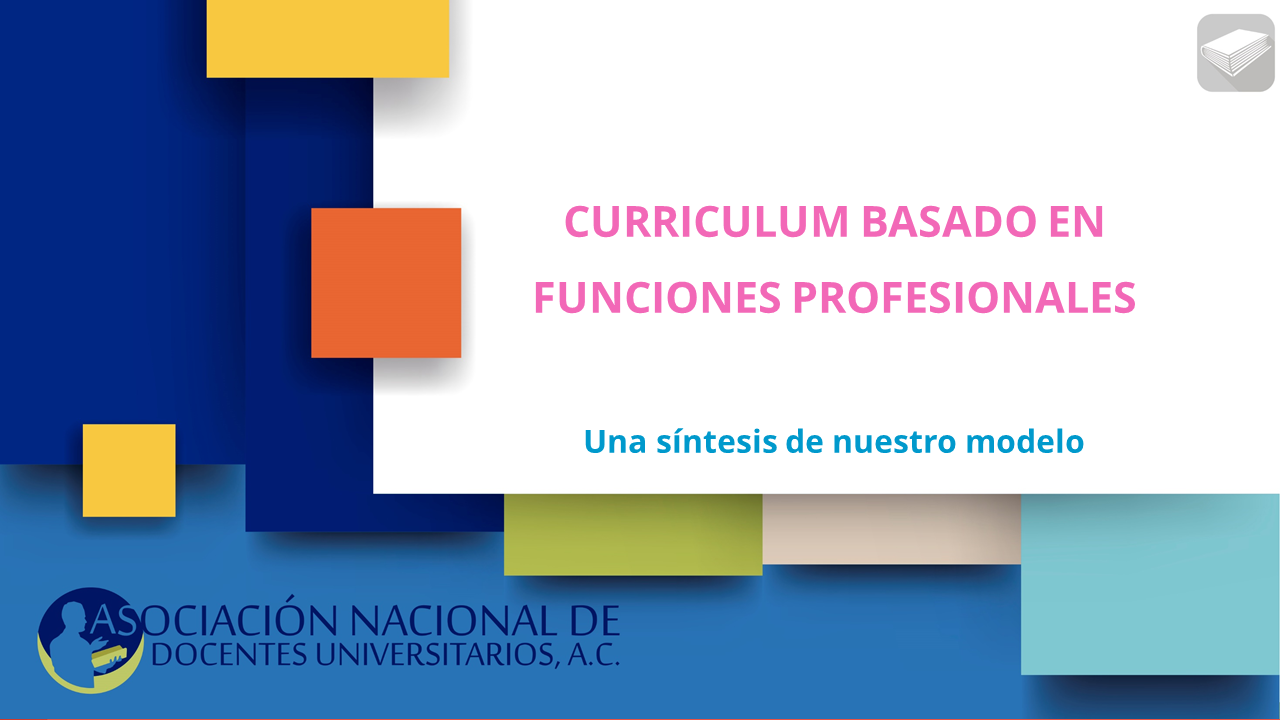 modelo_diseno_curricular_funciones_profesionales_curriculum.png